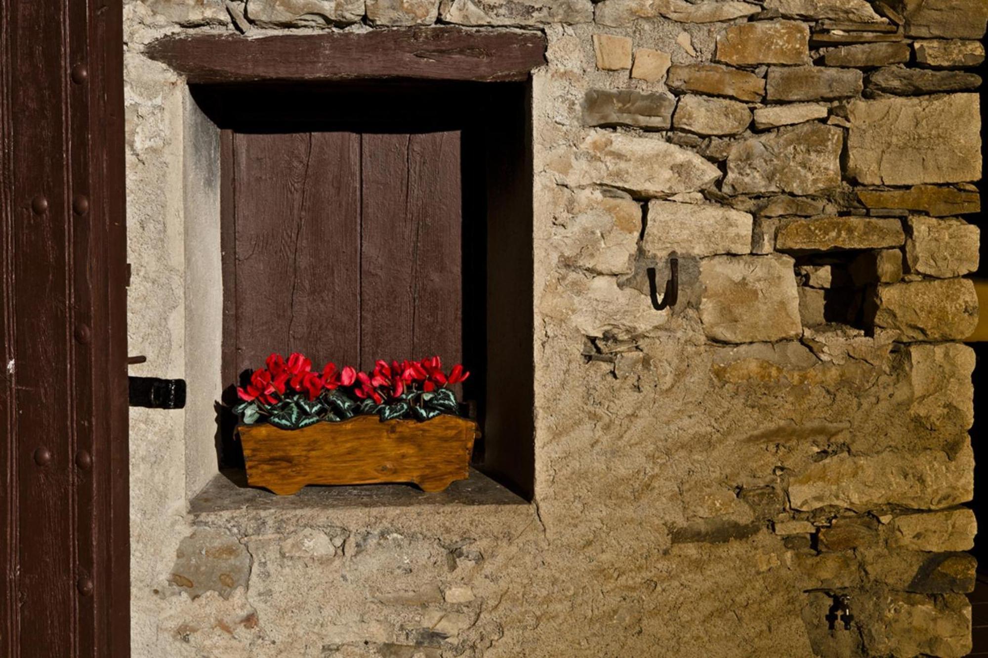 Conjunt Rural Cal Soldat Collmorter Exteriér fotografie